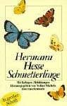 Tapa de Schmetterlinge. Großdruck. Betrachtungen, Erzählungen, Gedichte