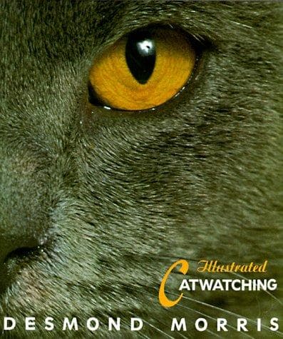 Tapa de Illustrated Catwatching