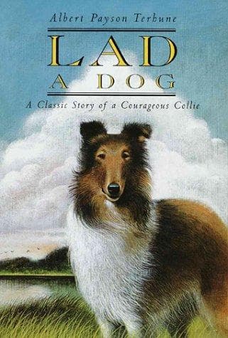 Tapa de Lad, a dog