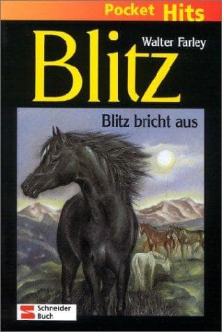 Tapa de Blitz bricht aus
