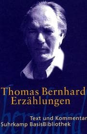 Tapa de Suhrkamp BasisBibliothek (SBB), Nr.23, Erzählungen
