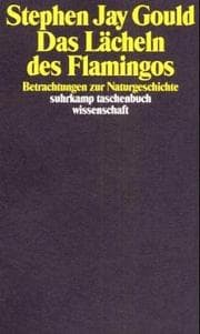 Tapa de The flamingo's smile