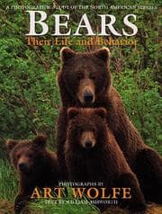 Tapa de Bears, their life and behavior