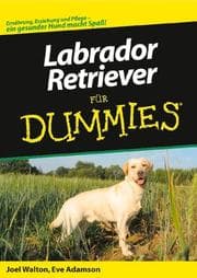 Tapa de Labrador-Retriever Für Dummies