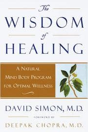 Tapa de The wisdom of healing