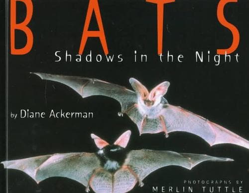 Tapa de Bats