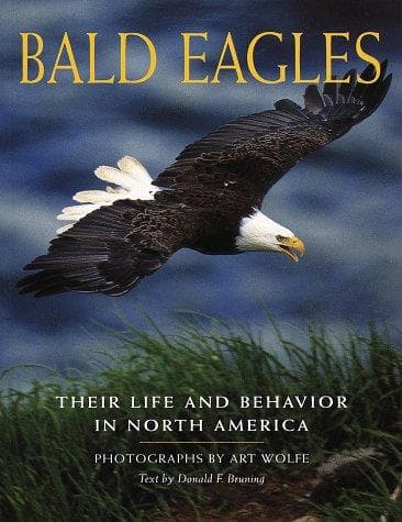 Tapa de Bald eagles