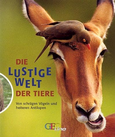 Tapa de Die lustige Welt der Tiere