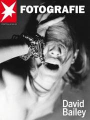 Tapa de David Bailey Stern Portfolio