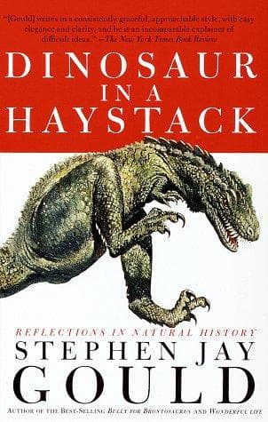 Tapa de Dinosaur in a Haystack