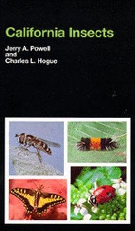 Tapa de California Insects