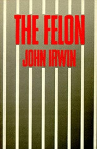 Tapa de The felon