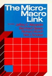 Tapa de The Micro-Macro Link