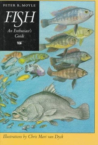 Tapa de Fish