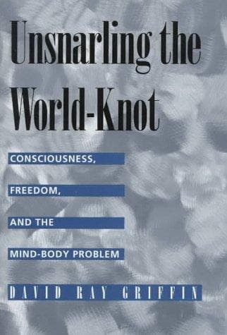 Tapa de Unsnarling the world-knot