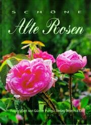 Tapa de Schöne alte Rosen. In memoriam Gerda Nissen