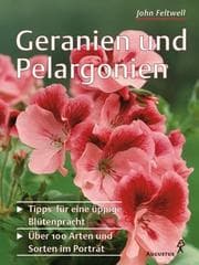 Tapa de Geranien und Pelargonien