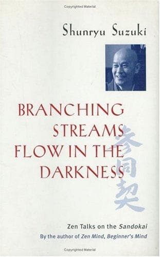 Tapa de Branching streams flow in the darkness