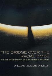 Tapa de The bridge over the racial divide