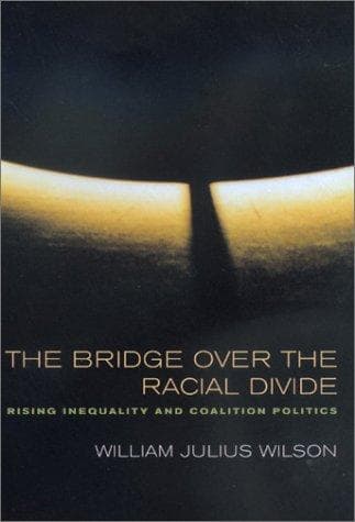 Tapa de The Bridge over the Racial Divide