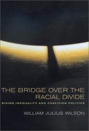 Tapa de The Bridge over the Racial Divide