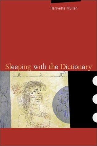 Tapa de Sleeping With the Dictionary
