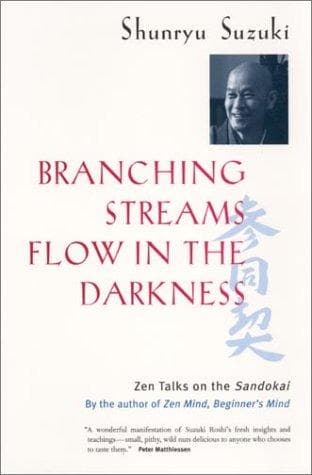 Tapa de Branching streams flow in the darkness