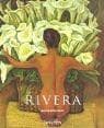 Tapa de Rivera