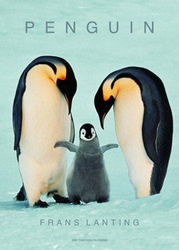 Tapa de Frans Lanting, Penguin 2007 Calendar