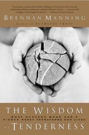 Tapa de The Wisdom of Tenderness