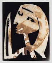 Tapa de The Artist and the Photograph
