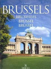 Tapa de A portrait of Brussels
