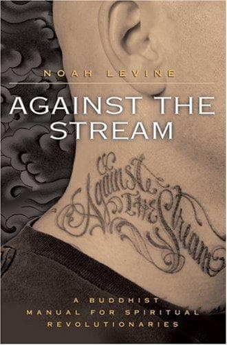 Tapa de Against the Stream