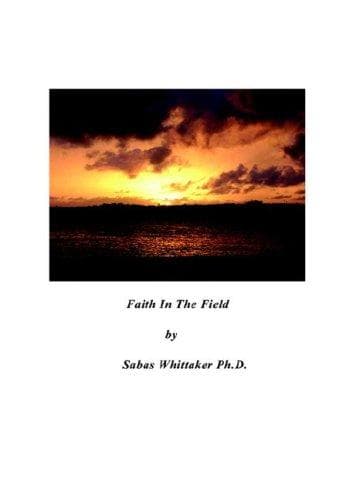 Tapa de Faith In The Field