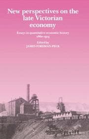 Tapa de New perspectives on the late Victorian economy