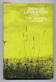 Tapa de The Jacob's ladder