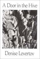 Tapa de Door in the Hive, A