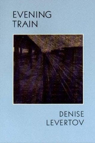 Tapa de Evening train