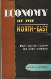 Tapa de Economy of the north-east