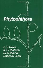 Tapa de Phytophthora