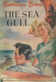 Tapa de The sea gull