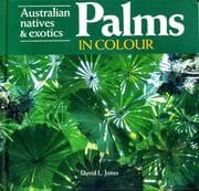 Tapa de Palms in Colour