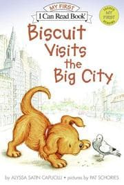 Tapa de Biscuit visits the big city
