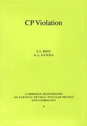 Tapa de CP violation