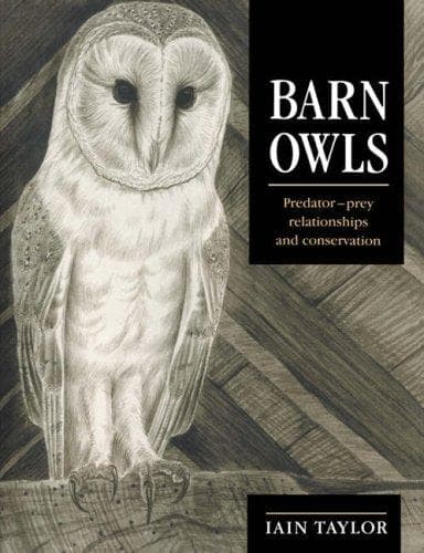 Tapa de Barn Owls