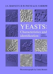 Tapa de Yeasts