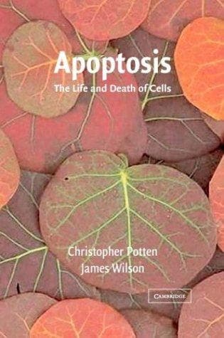 Tapa de Apoptosis