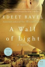 Tapa de A Wall of Light (P.S.)