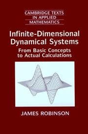 Tapa de Infinite-Dimensional Dynamical Systems