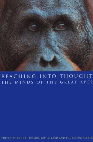 Tapa de Reaching into Thought